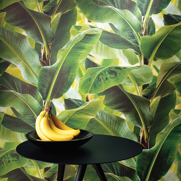 Galerie Wallpaper Product code: 473407R - African Queen 2 Wallpaper Collection -   