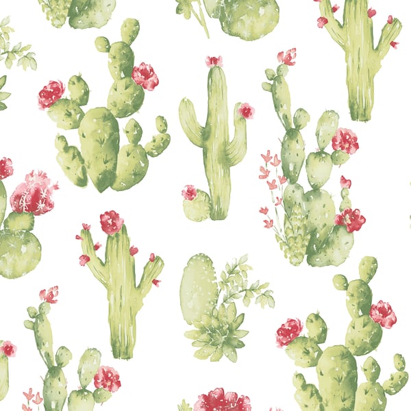 Galerie Wallpaper Product code: CK36630 - Kitchen Style 3 Wallpaper Collection - Green Red Colours -  