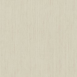 Galerie Wallcoverings Product Code 35988 - Ornamenta Wallpaper Collection - Silver Grey Colours - Stripe Texture Design
