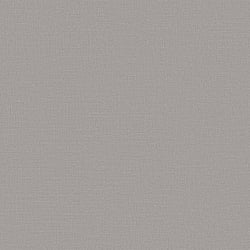 Galerie Wallcoverings Product Code DC30119 - Designer Colours Wallpaper Collection - Silver Grey Colours - Abstract Texture Design