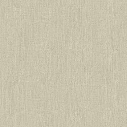 Galerie Wallcoverings Product Code DC30122 - Designer Colours Wallpaper Collection - Beige Colours - Climbing Texture Design