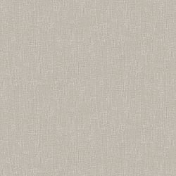 Galerie Wallcoverings Product Code DC30223 - Designer Colours Wallpaper Collection - Silver Grey Colours - Weathered Texture Design