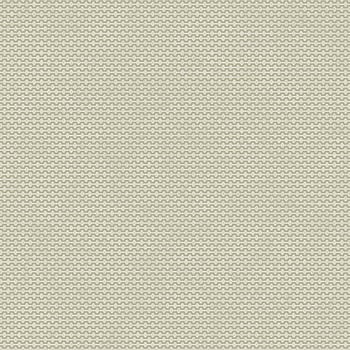 Galerie Wallcoverings Product Code 12708 - Ted Baker Fantasia Wallpaper Collection - Green Colours -  