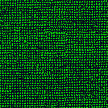 Galerie Wallcoverings Product Code 23310 - Marimekko 5 Wallpaper Collection - Green Navy Blue Colours -  