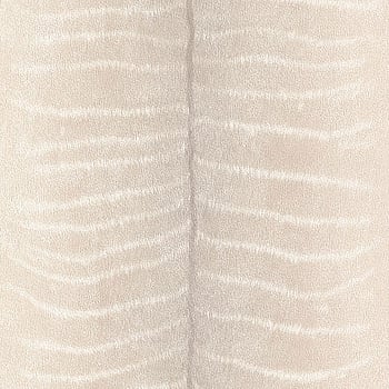 Galerie Wallcoverings Product Code 473506 - African Queen 2 Wallpaper Collection -   