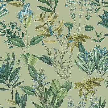 Galerie Wallcoverings Product Code BL22741 - Botanica Wallpaper Collection - Green Colours -  