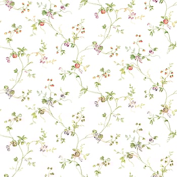 Galerie Wallcoverings Product Code KC28534 - Fresh Kitchens 5 Wallpaper Collection -   